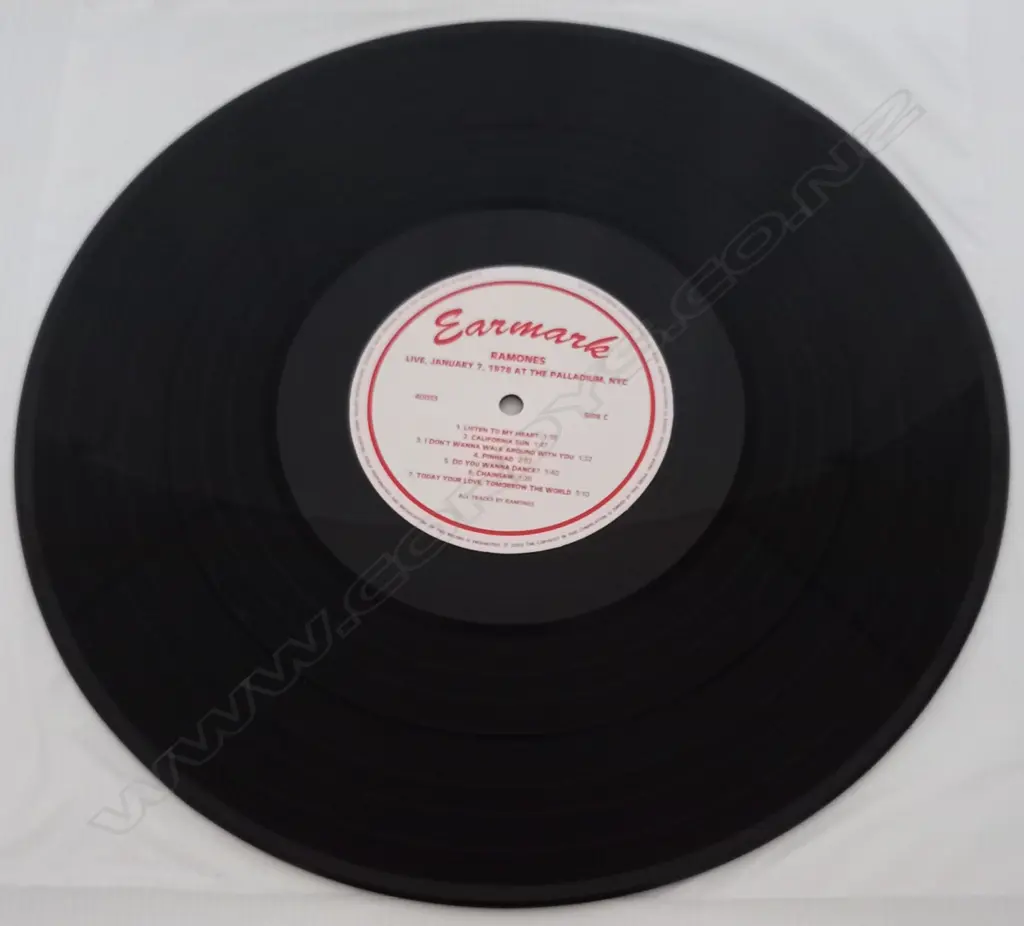 Ramones, Live, January 7, 1978 At The Palladium, NYC (Double album) Image 1++